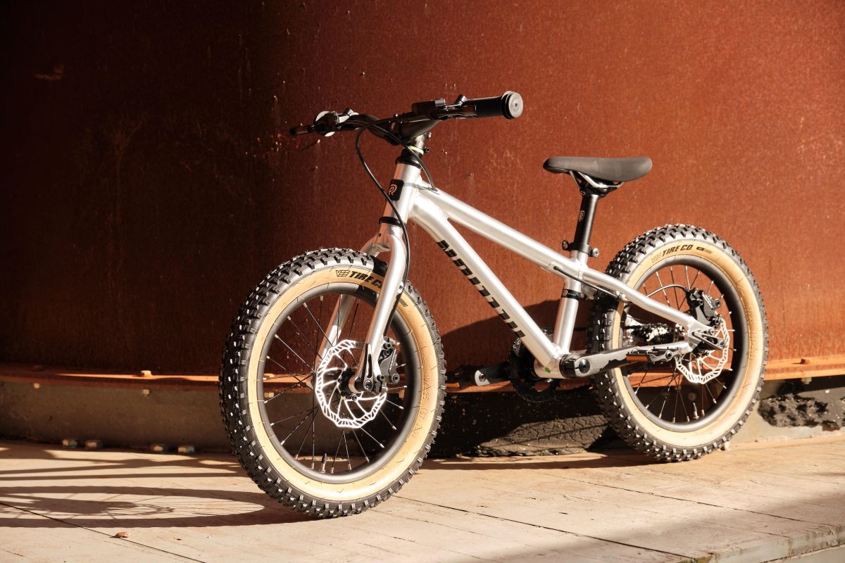 Moez Early Rider Hellion